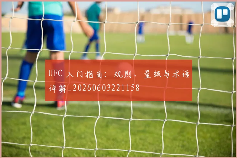 UFC 入门指南：规则、量级与术语详解_20260603221158